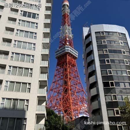 周辺環境：東京タワー