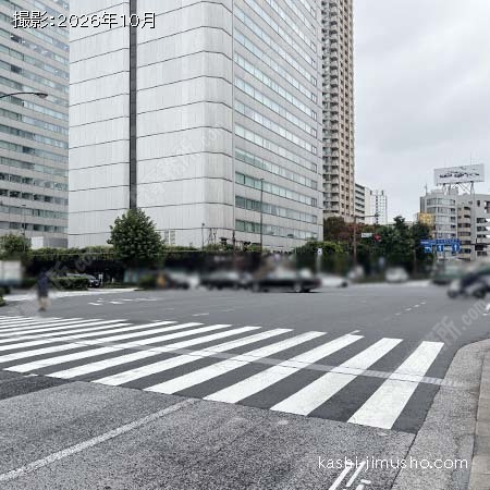 前面道路(外苑東通り) 前面道路(外苑東通り)