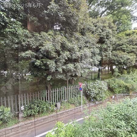 眺望(2階)