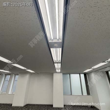 照明