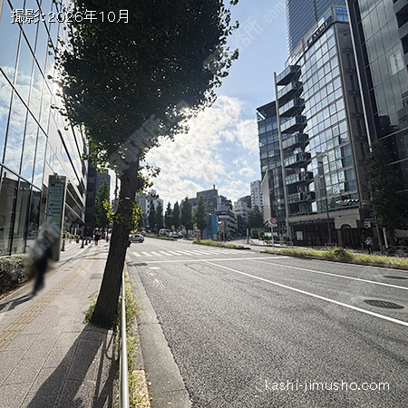 前面道路(桜田通り)