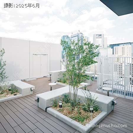 屋上