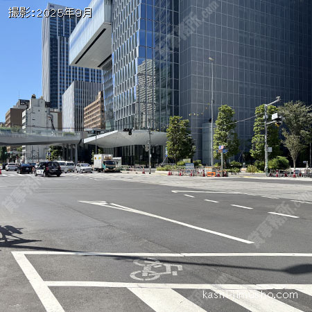 前面道路(桜田通り)