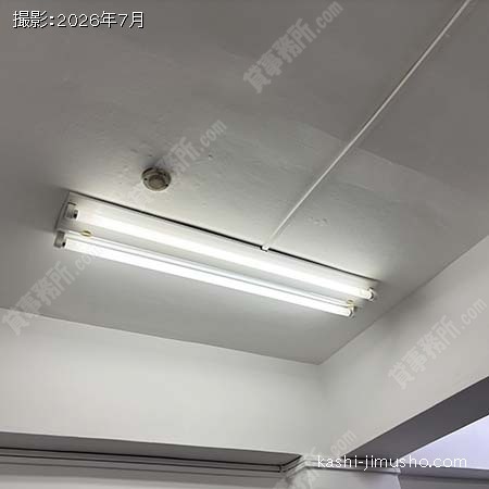 照明