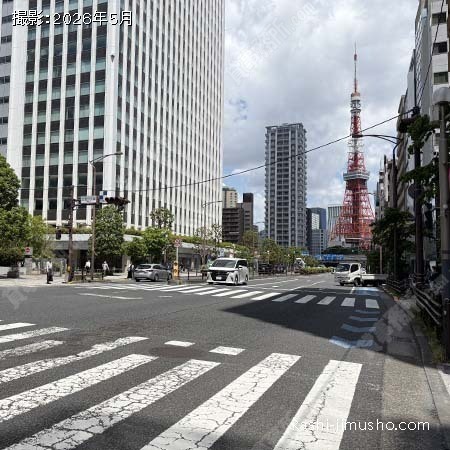 前面道路(桜田通り) 前面道路(桜田通り)