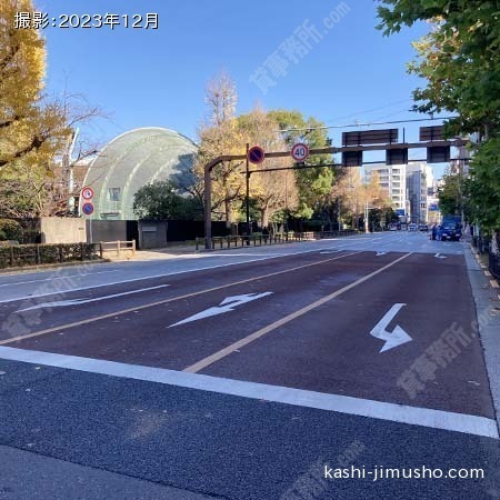 前面道路(不忍通り）