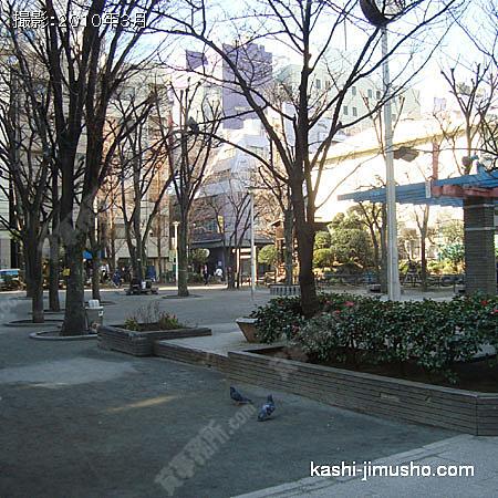  向かい側の公園