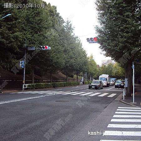 前面道路 （井の頭通り）