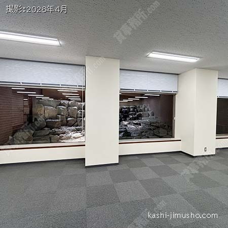 貸室内(地下1階)