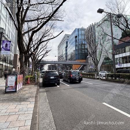 前面道路(表参道)