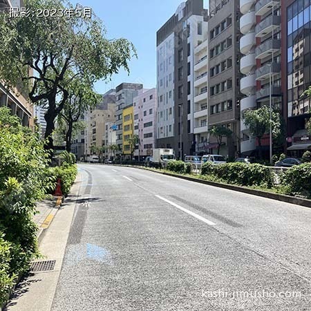 前面道路(明治通り)