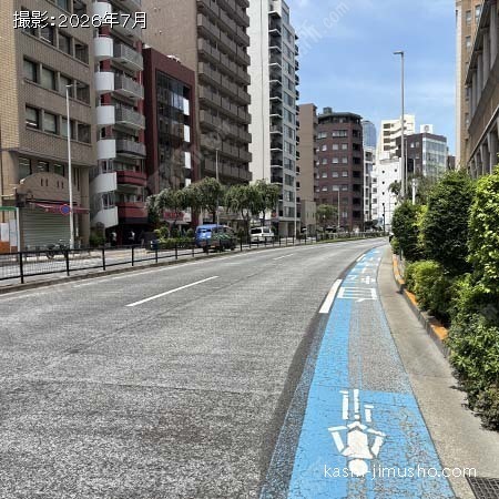 前面道路(明治通り）