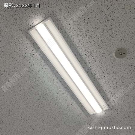 照明