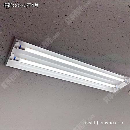 照明 照明