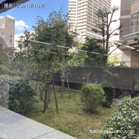 眺望(1階北側)