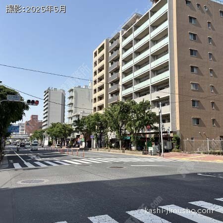 前面道路(明治通り)