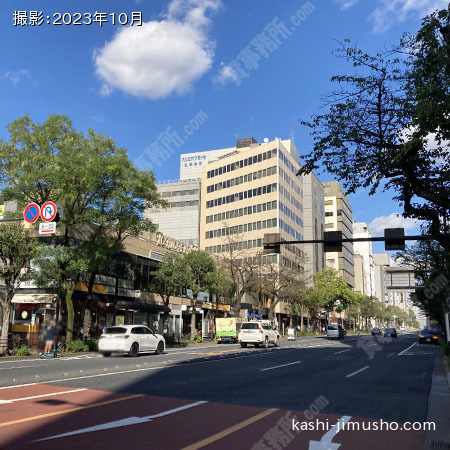 前面道路(靖国通り)