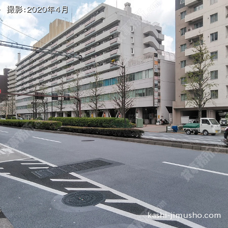 前面道路(目白通り)