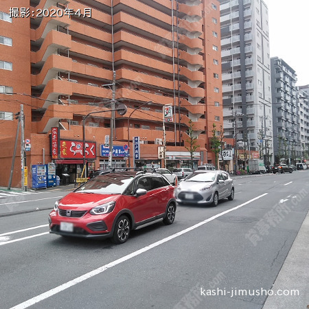 前面道路(目白通り)
