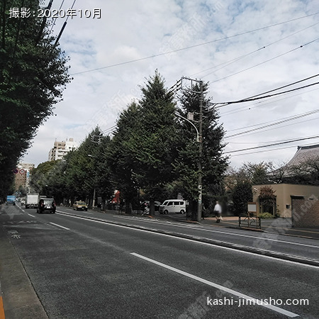 前面道路(本郷通り）