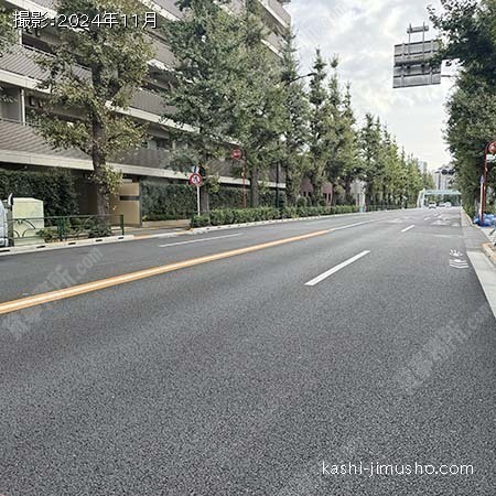 前面道路(目白通り）