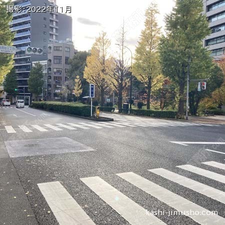 前面道路(本郷通り)