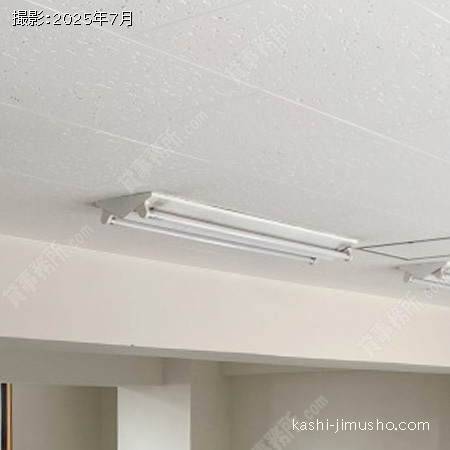 照明