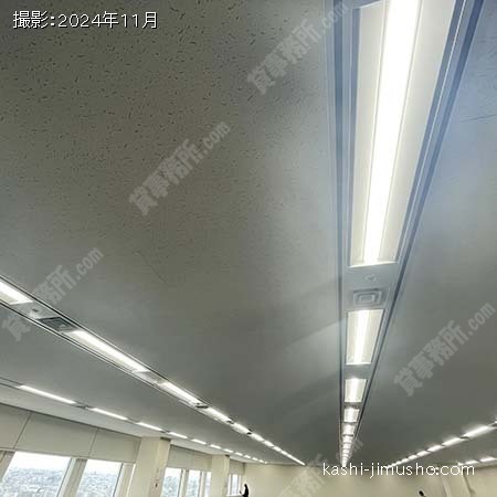 照明