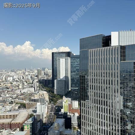 眺望(26階226.97坪)