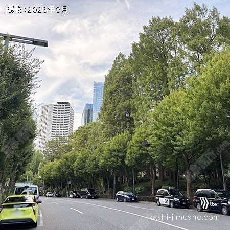 前面道路(十二社通り) 前面道路(十二社通り)