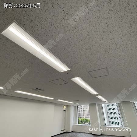 照明