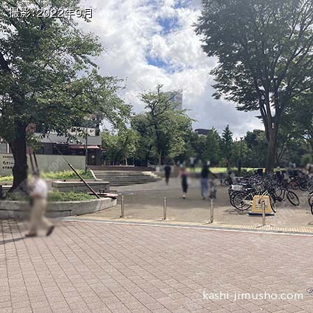 周辺環境:新宿公園 周辺環境:新宿公園