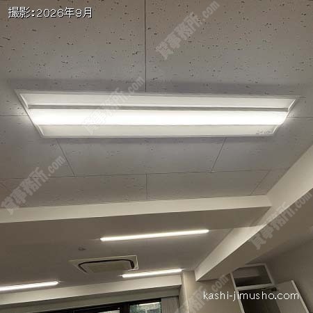 照明 照明