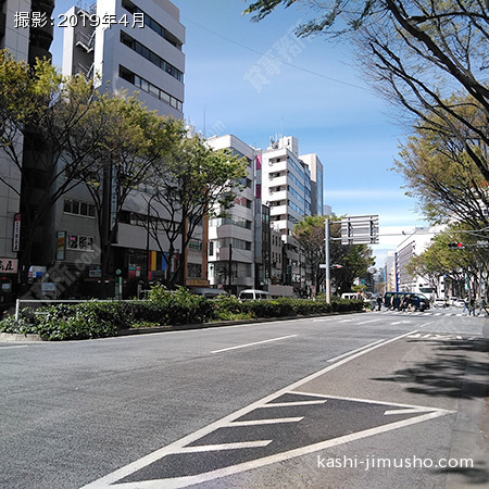 前面道路(新宿柳通り)②