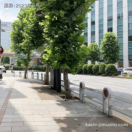 前面道路(靖国通り)