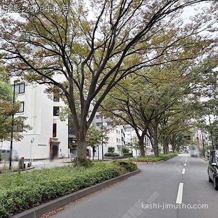 前面道路(早大通り)