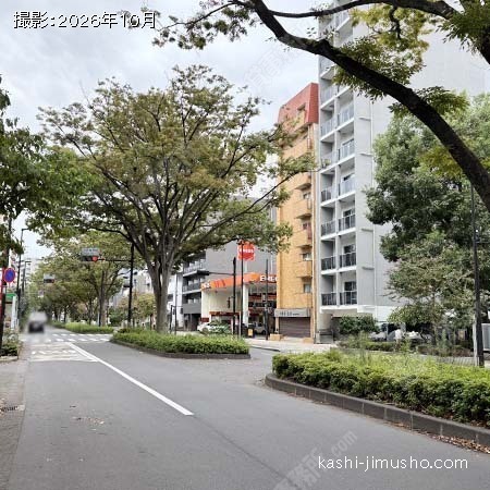 前面道路(早大通り)