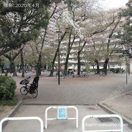 周辺環境：清花公園