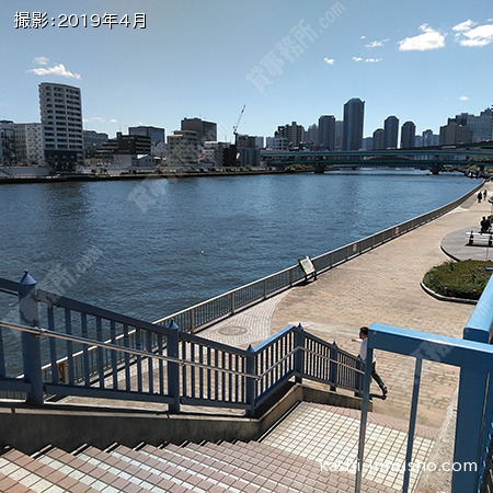 周辺環境(隅田川)