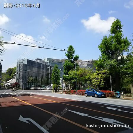 前面道路（不忍通り）