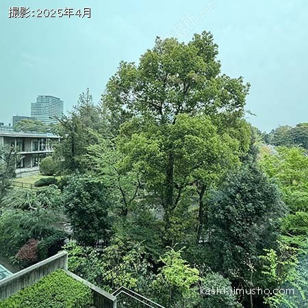 眺望(3階C)