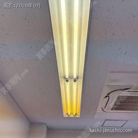 照明 照明