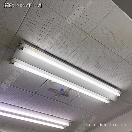 照明