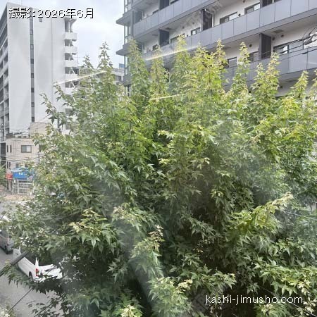 眺望(3階)