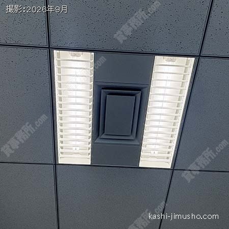 照明 照明