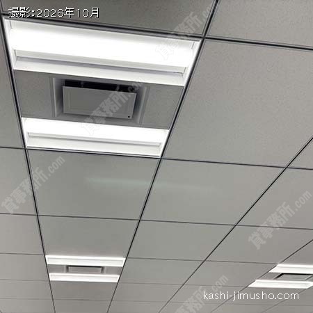 照明