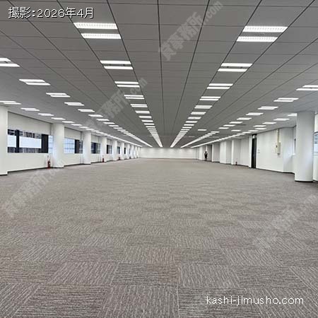 貸室内(8階) 貸室内(8階)