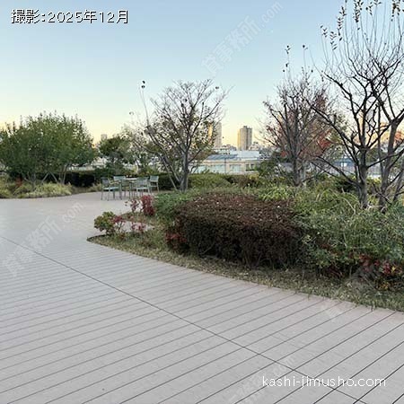 屋上庭園 屋上庭園