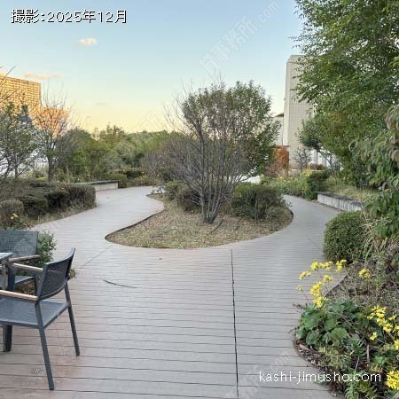 屋上庭園 屋上庭園