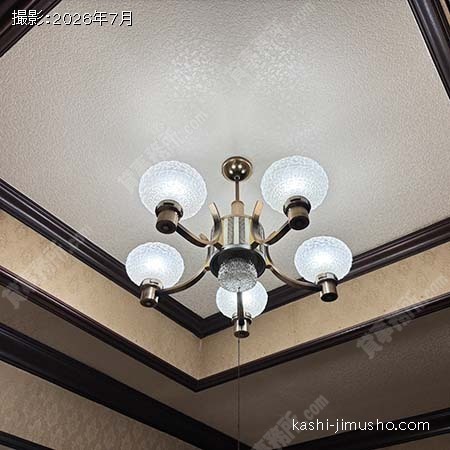 照明